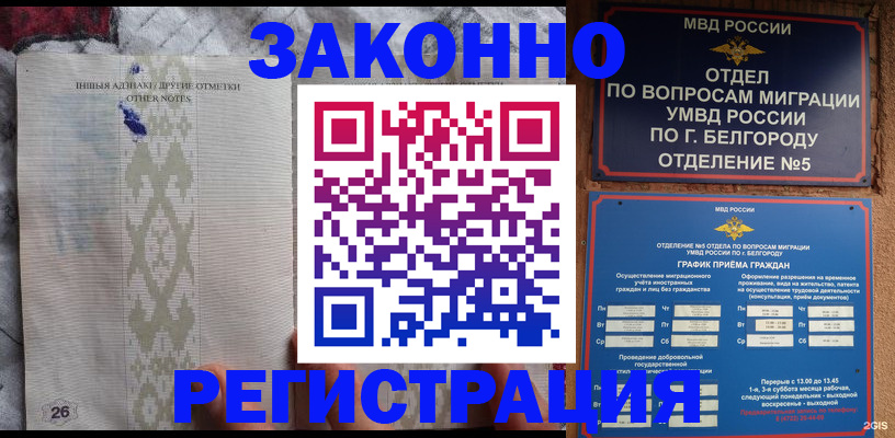 временная регистрация купить в Курске